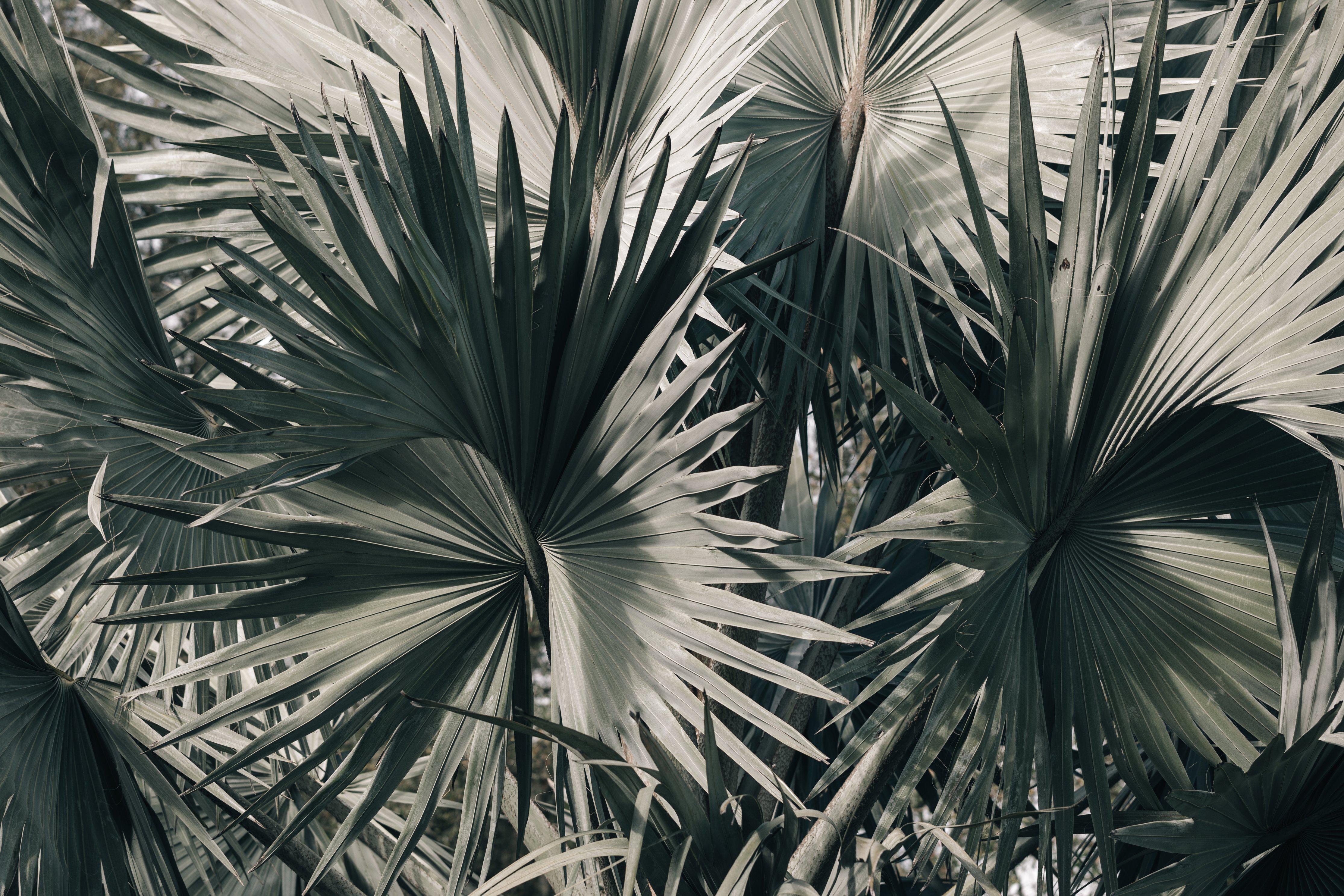 Florida