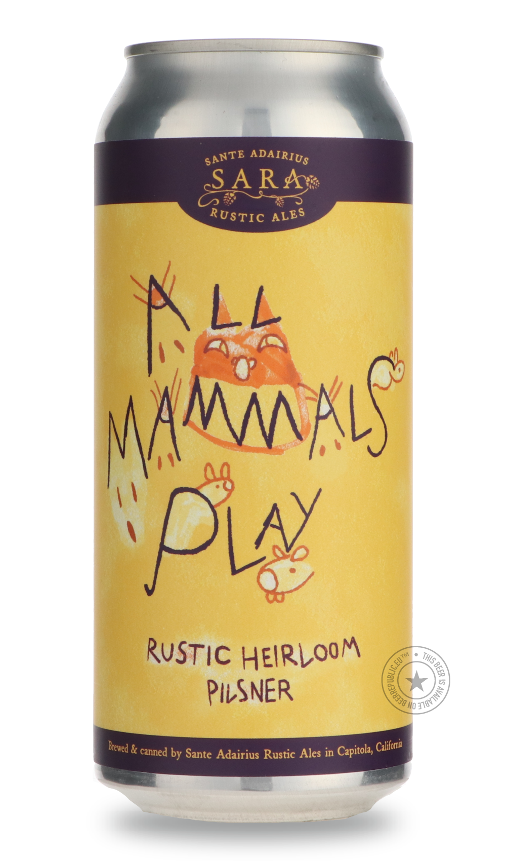 All Mammals Play